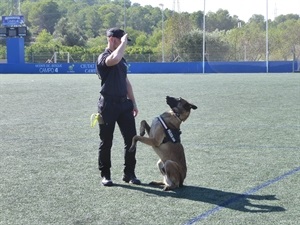 La formación y el entrenamiento son muy importantes