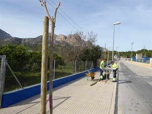 Con esta actuación se ha aumentado el número de arbolado en los accesos al recinto deportivo