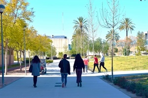 La subvención de transporte para los alumnos de la UMH Elche es de 300 €uros