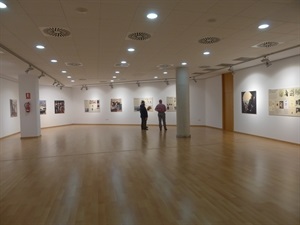 La Sala Llevant de l´Auditori acoge esta muestra