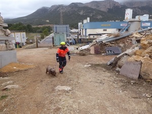 En cada turno de entrenamiento participó un perro diferente