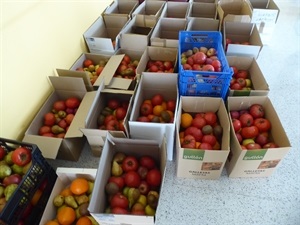 Paquetes preparados para los beneficiarios del Programa de Alimentos de La Nucía