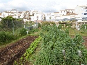 Los desplazamientos a los Ecohuertos han de ser controlados y por el menor tiempo posible