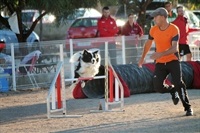 La Nucia jack y fermin camp aut agility 1 2020