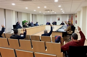 El pleno municipal de La Nucía se adhiere al "Compromiso de la Lucha contra la Violencia de Género" de la FVMP