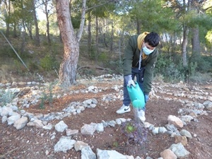 El aula de la naturaleza está situada en una parcela 800 m2 contigua al Instituto