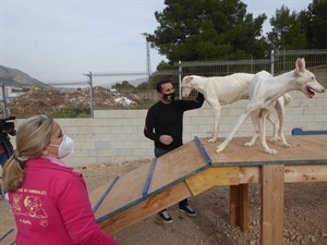 En esta actuación han participado Protectora de Animales, Ayuntamiento y donaciones particulares