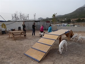 Las dos zonas recreativa caninas ocupan una superficie de 600 m2