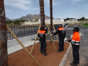 Los alumnos del Taller de Empleo trabajarán y se formarán durante un año, de forma remunerada