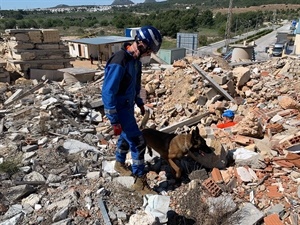 El Campo de Entrenamiento de Perros de Rescate de La Nucía es un referente a nivel nacional