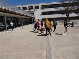 Todos los alumnos de 2º ESO han pasado por esta actividad extraescolar gratuita