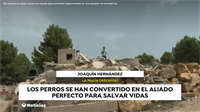 La Nucia Camp Perros Rescate Antena 3 1 2021